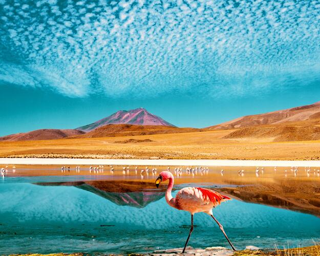 Bolivien, Ruta de las Joyas