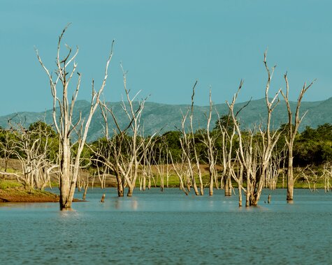 Simbabwe - Lake Kariba