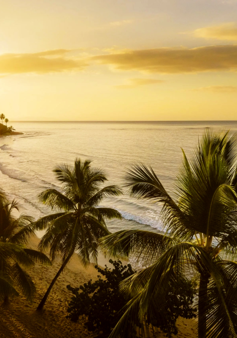 Dominikanische Republik - Beach