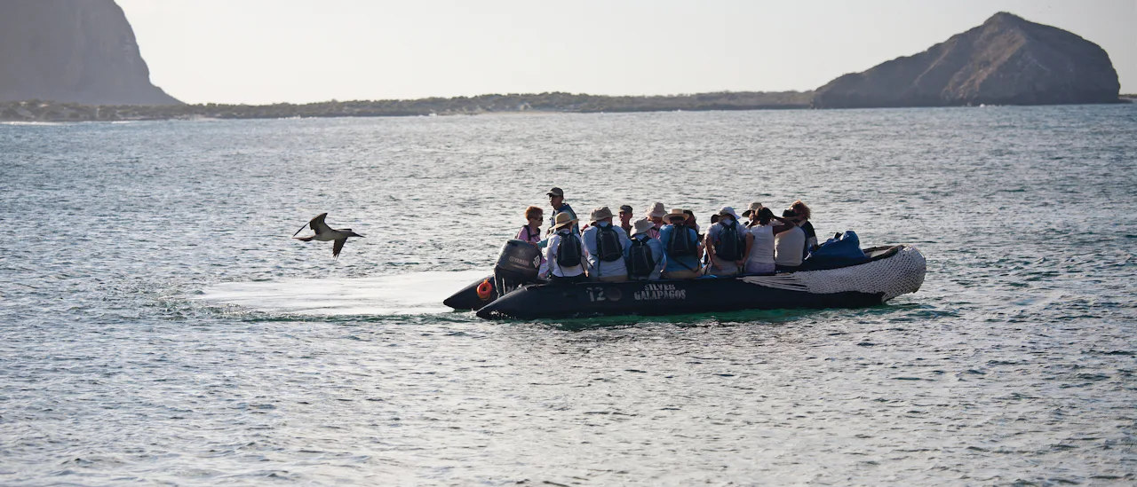 Zodiac-Boote bringen Sie auf spannende Entdeckungstouren
