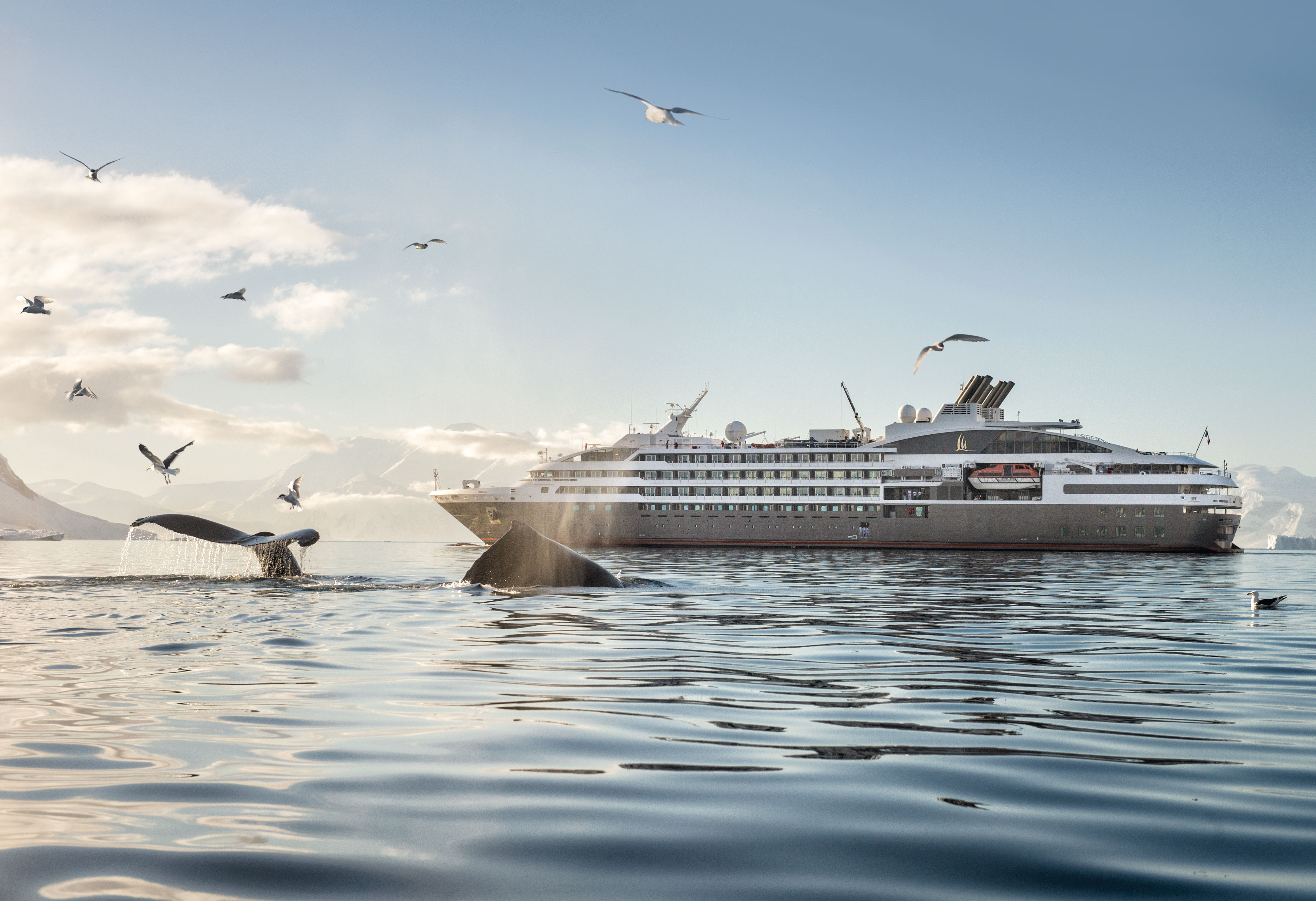 Le Soléal verfügt über einen verstärkten Rumpf und eignet sich für Expeditionskreuzfahrten in die Antarktis, nach Svalbard und zu weiteren exotischen Reisezielen.
