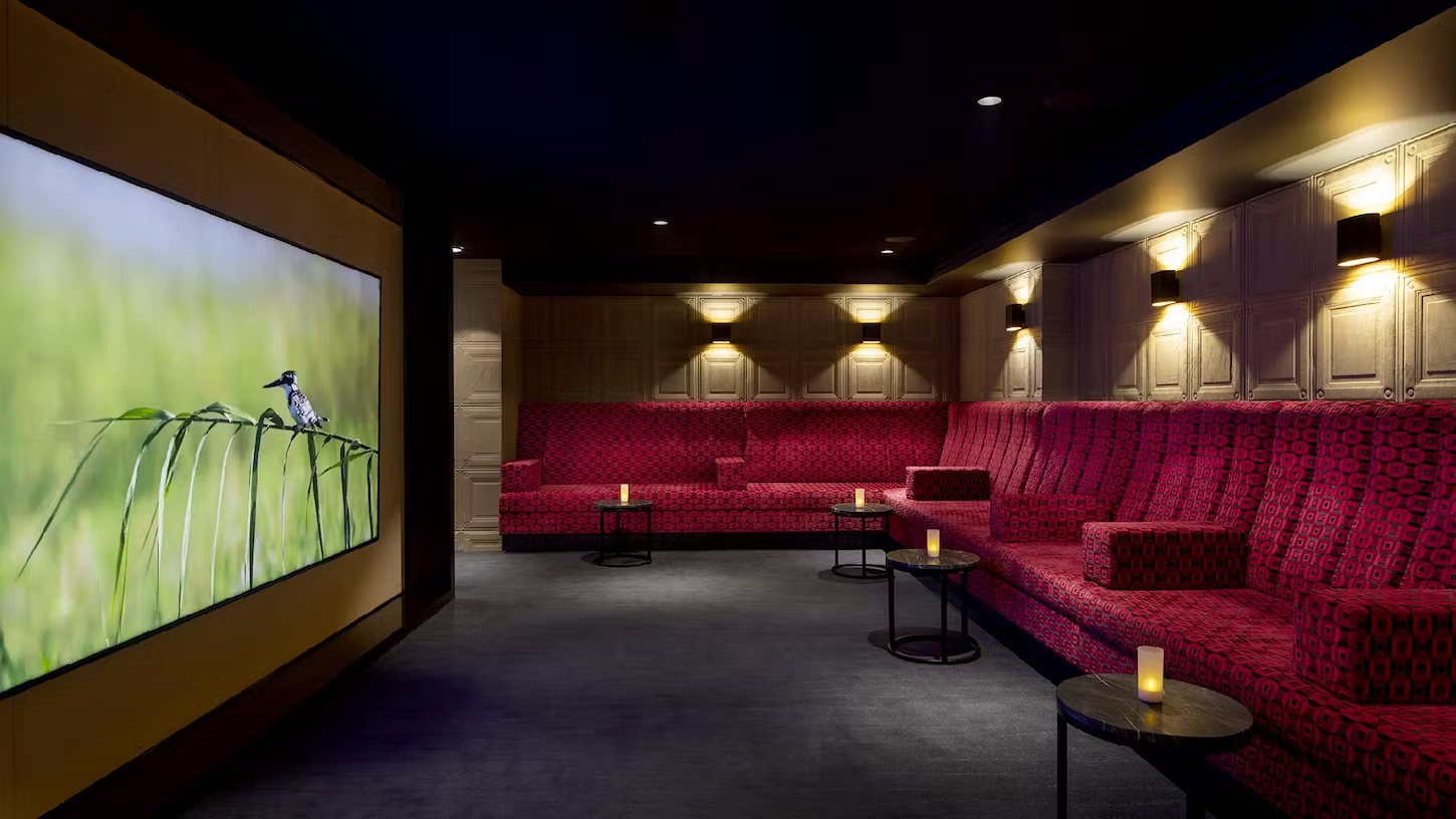 Kino des Kreuzfahrtschiffes AmaMagna