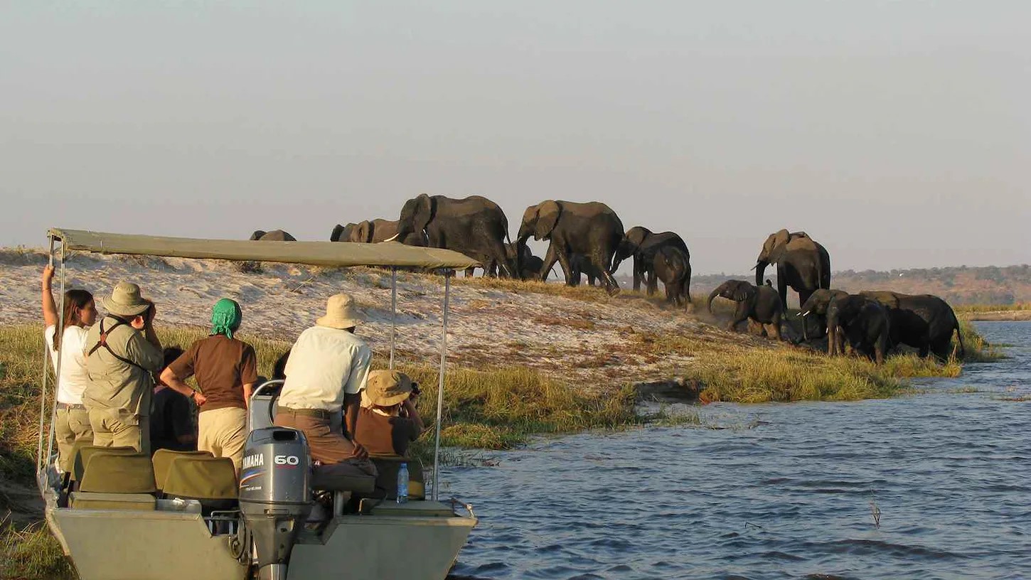 Gäste des Kreuzfahrtschiffes Zambezi Queen während eines Entdeckungsausflugs