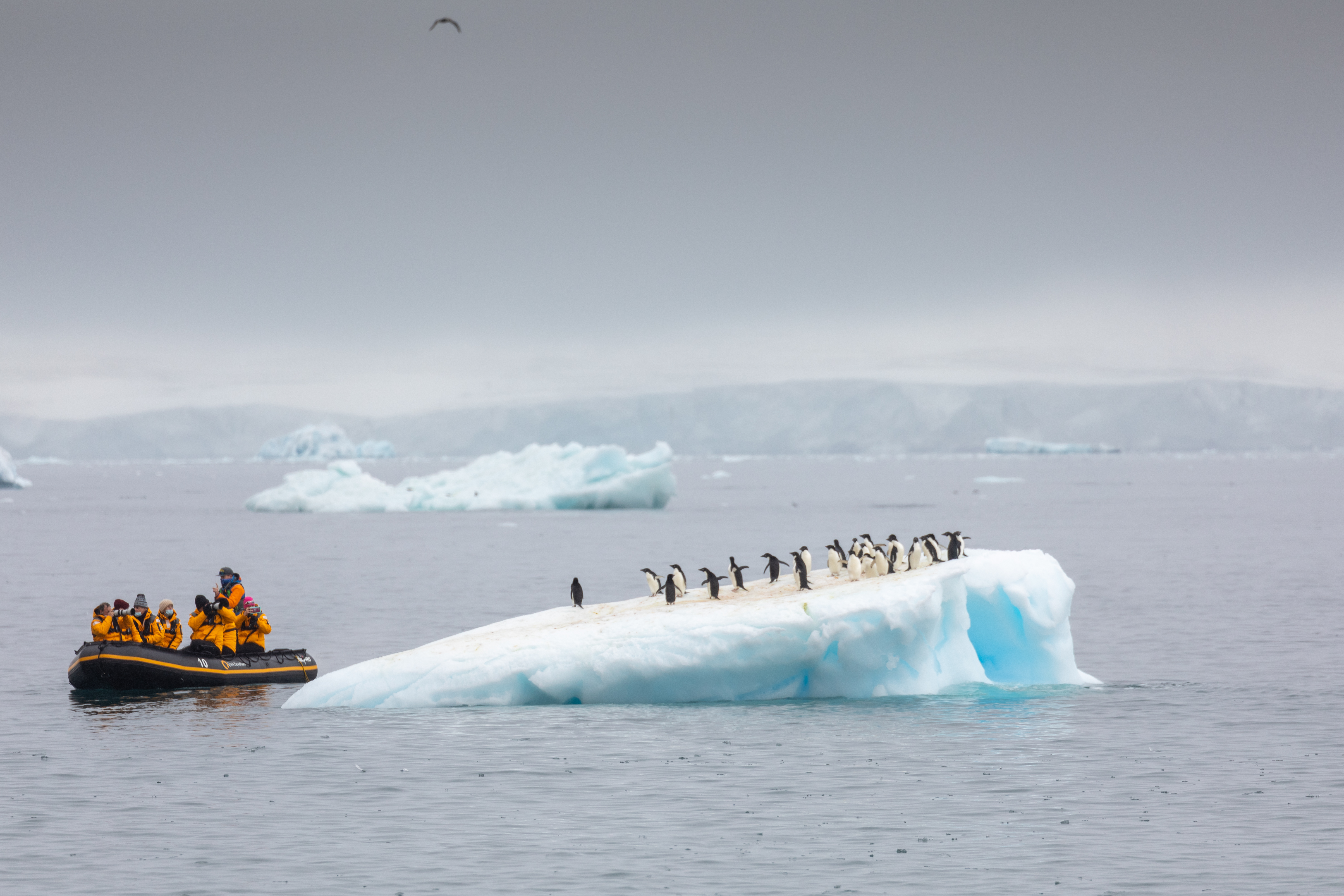 ANTARKTIS EXPEDITION