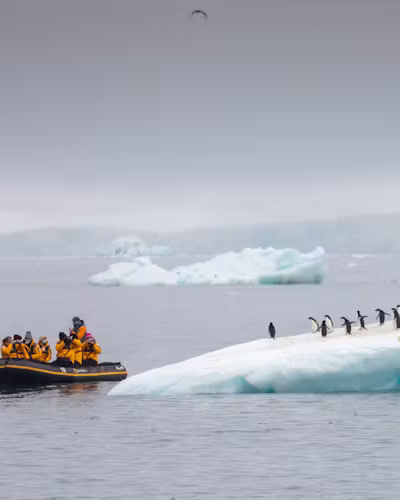 ANTARKTIS EXPEDITION