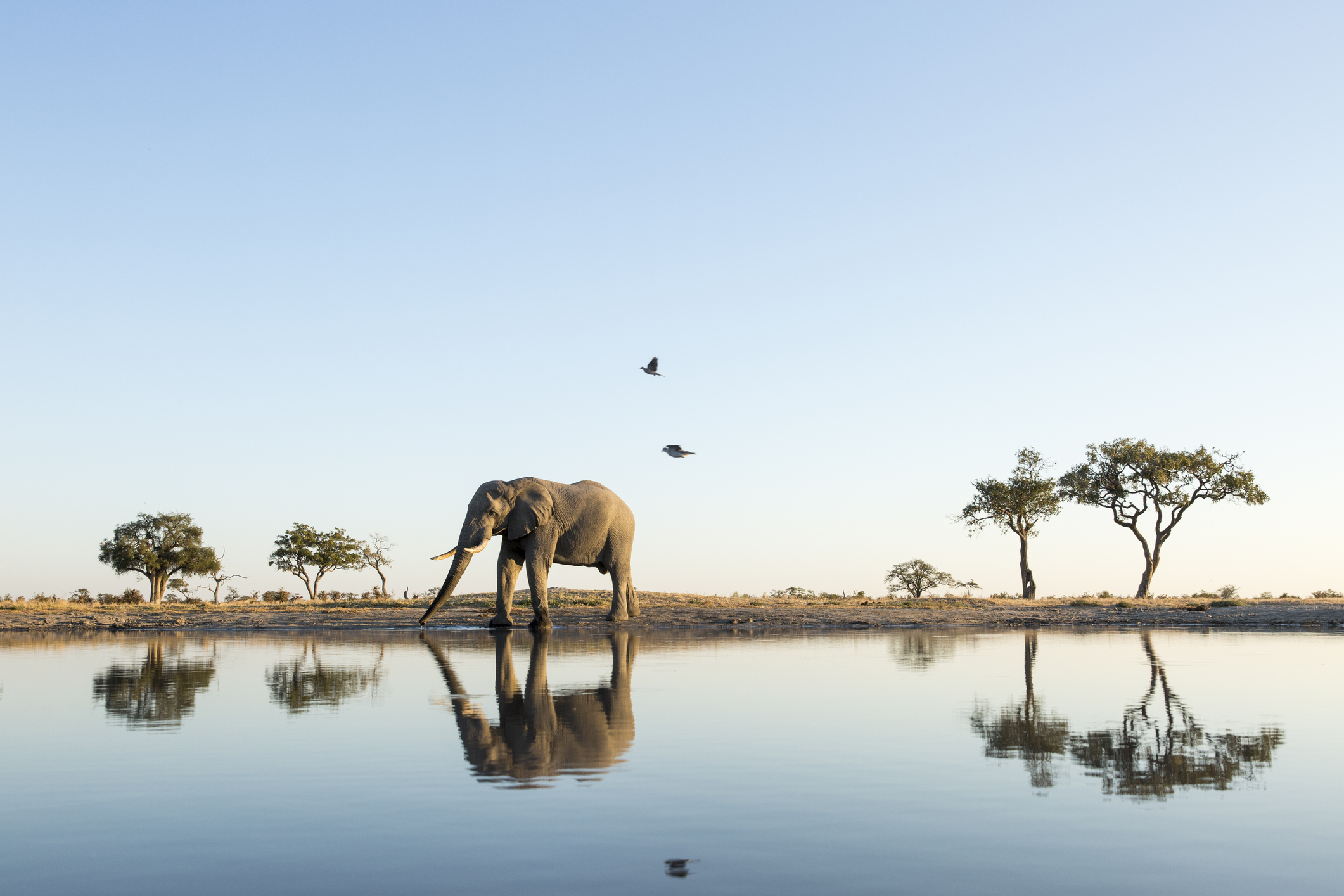 Ponant Afrika und Indischer Ozean