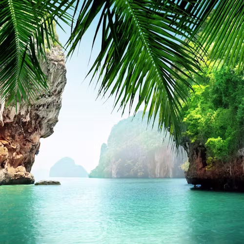 MSC Cruises Asien