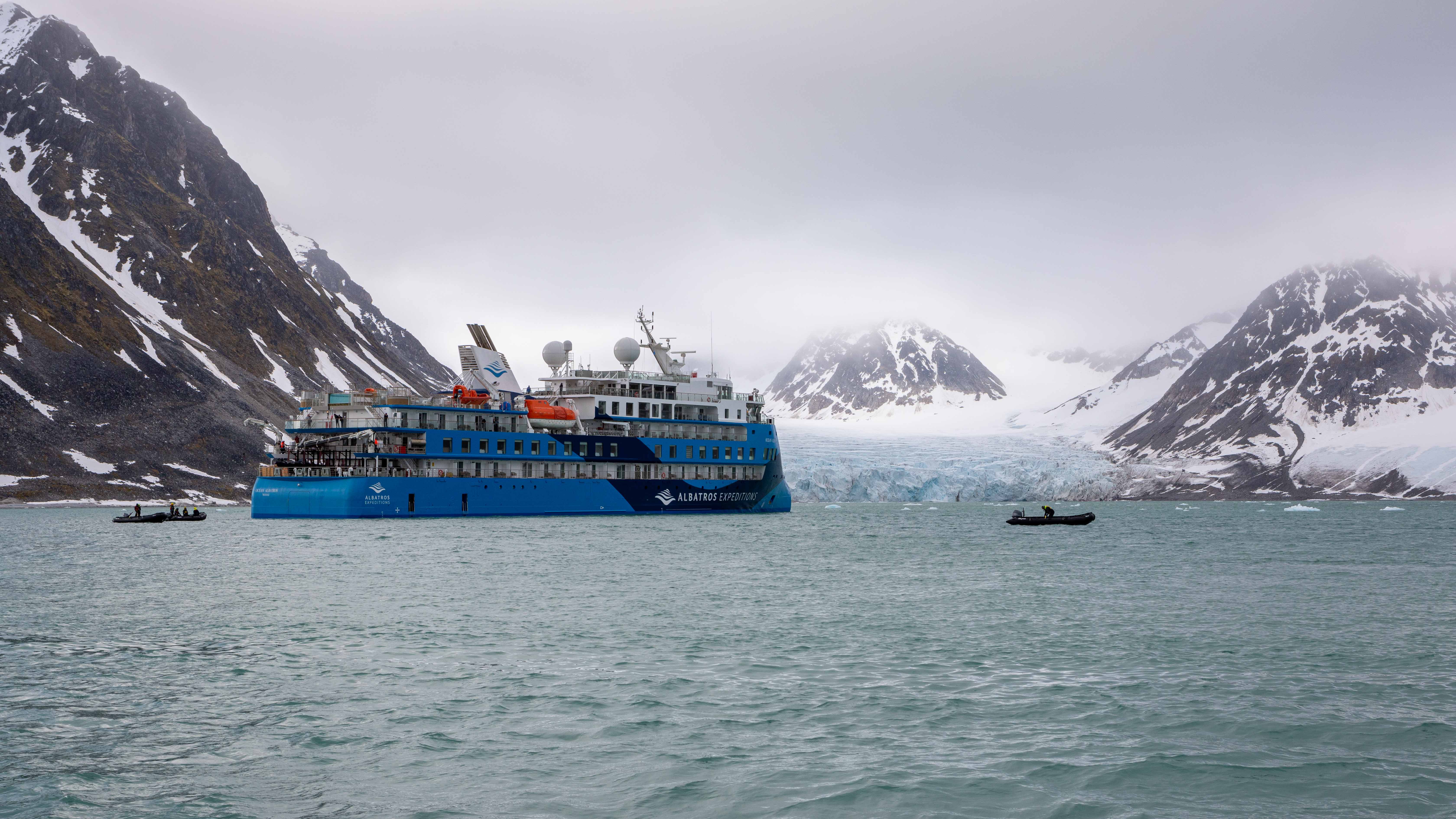 Ocean Albatros