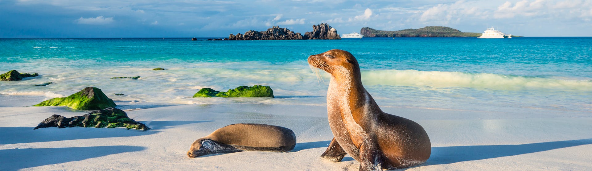 Galapagos Kreuzfahrten
